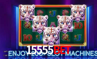 15555bet: A Experiência de Casino com Jogos de Mesa ao Vivo